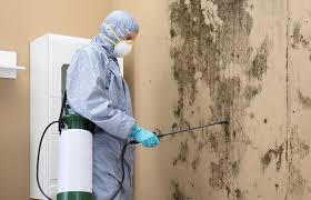 Best Residential Mold Inspection & Testing  in Lewistown, IL